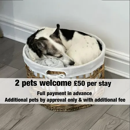 Dings House With Free Parking In Super South West Location By Stae-homes Tatil Evi *