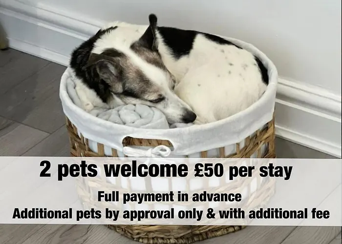 Dings House With Free Parking In Super South West Location By Stae-homes Casa de Férias *