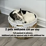 Dings House With Free Parking In Super South West Location By Stae-homes Casa vacanze *